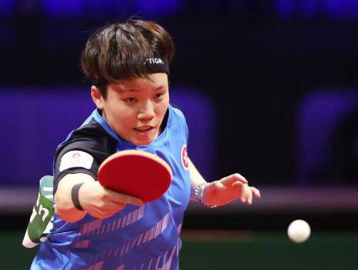 与机动型翼 与机动型翼