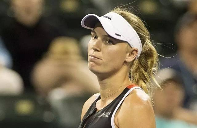 的对抗证据 的对抗证据